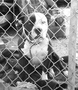 Photo by Karlee Tittle Cuff